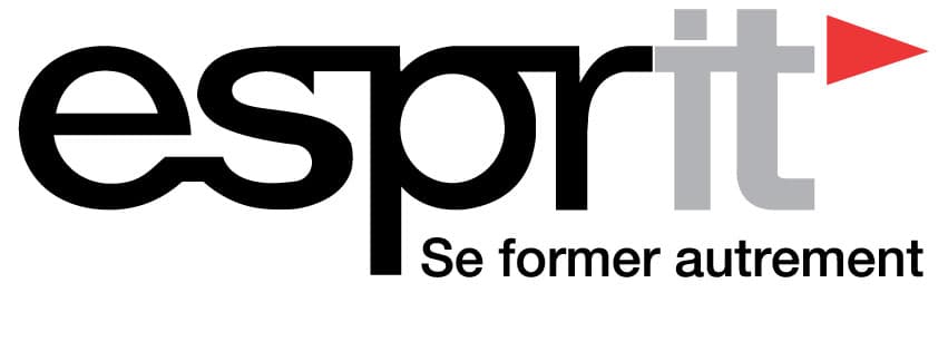 ESPRIT — École Supérieure Privée d'Ingénierie et de Technologies